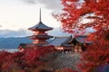 KYOTO, JAPAN, NOV 30, 2023, Autumn colors and Fall foliage at Kiyomizu-dera temple in Kyoto. Royalty Free Stock Photo