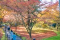 Autumn leaf color at Sanzenin Temple in Ohara, Kyoto, Japan. Sanzenin Temple was founded in 804