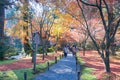 Autumn leaf color at Sanzenin Temple in Ohara, Kyoto, Japan. Sanzenin Temple was founded in 804