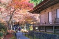 Autumn leaf color at Sanzenin Temple in Ohara, Kyoto, Japan. Sanzenin Temple was founded in 804