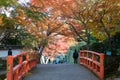 Autumn leaf color at Sanzenin Temple in Ohara, Kyoto, Japan. Sanzenin Temple was founded in 804