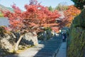 Autumn leaf color at Sanzenin Temple in Ohara, Kyoto, Japan. Sanzenin Temple was founded in 804