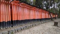 Senbon Torii at Fushimi Inari Shrine