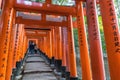 KYOTO, JAPAN - NOV 23, 2016: Torii Gateways in Fushimi Inari Taisha Shrine in Kyoto. Royalty Free Stock Photo