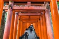 KYOTO, JAPAN - NOV 23, 2016: Torii Gateways in Fushimi Inari Taisha Shrine in Kyoto. Royalty Free Stock Photo