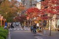 Kyoto, Japan - NOV 11, 2019: Traditional old japanese street Royalty Free Stock Photo