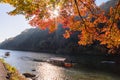 Unidentified tourists on wooden boat enjoy autumn colors along Hozu-gawa river at Arashiyama