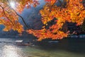 Unidentified tourists on wooden boat enjoy autumn colors along Hozu-gawa river at Arashiyama