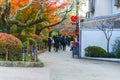 KYOTO, JAPAN - NOVEMBER 23, 2016 Autumn red maple foliage popular of people and photography viewpoint on street for visit Eikando