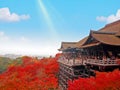 KYOTO, JAPAN - NOVEMBER 21, 2016: Beautiful red autumn leaves and clear blue sky at Kiyomizu temple Royalty Free Stock Photo