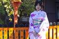 Female Geisha Posing in Geisha`s Kimono in Traditional Japanese Environment in Kyoto, Japan