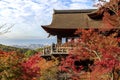 kiyomizu dera temple, beautiful red Japanese maple tre