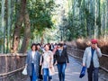 KYOTO, JAPAN - NOVEMBER 7, 2017: People on the road to the bamboo forest, Arashiyama. Royalty Free Stock Photo