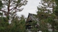 Roof of tekple visible behing Japanese pine trees in Kyoto