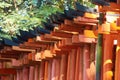 Red Torii gates of the Fushimi Inari shinto shrine in Kyoto, Japan Royalty Free Stock Photo