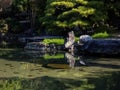 On the grounds of Shosei-en garden in Kyoto