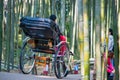 Kyoto, Japan - November 16, 2017 :Tourists are enjoy traveling b