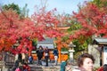 Kyoto, Japan - November 17, 2017 :Tourists visit Tenryuji temple