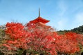 Kyoto; Japan - November 25 2017 : View of Autumn season the Kiyomizu Dera temple is the most famous in Kyoto; Japan