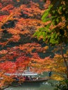 Cruising boat along river in Arashiyama, Japan