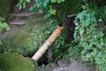 A Shishi odoshi at a temple garden in Kyoto.