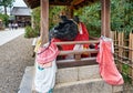 The statue of ox lying down under the roof at Kitano Tenmangu shrine. Kyoto. Japan Royalty Free Stock Photo