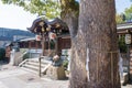 Sacred tree at Seimei Shrine in Kyoto, Japan. The Seimei Shrine was founded AD 1007 by Emperor Ichijo