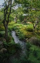 Japanese zen garden Sogenchi with river running in lush forest landscape at temple Tenryu-ji in Kyoto, Japan