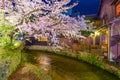 Kyoto, Japan at the Shirakawa River during the spring cherry blosson season