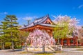 Kyoto Japan Spring Royalty Free Stock Photo