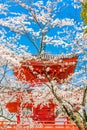 Kyoto, Japan Temple in Spring Royalty Free Stock Photo