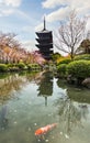 To-ji Pagoda in Kyoto in spring, Japan Royalty Free Stock Photo