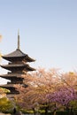 Kyoto, Japan at Toji temple