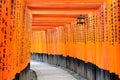 Kyoto Japan Torii Gates