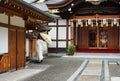 Japanese monk in white dress from behind on outdoors in temple Kyoto