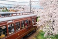 Kyoto local train Randen Tram with cherry blossoms in Kyoto, Japan Royalty Free Stock Photo