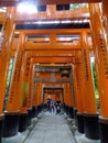 Sunny view of the Senbon Torii of Fushimi Inari-taisha
