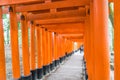 KYOTO - NOV 24 2016 : Torii Gateways in Fushimi Inari Taisha Shrine in Kyoto. Royalty Free Stock Photo