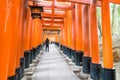 KYOTO - NOV 24 2016 : Torii Gateways in Fushimi Inari Taisha Shrine in Kyoto. Royalty Free Stock Photo