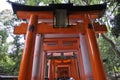 Kyoto, 15th may: Senbon Torii Gate Path details from Fushimi Inari Taisha Shrine of Kyoto City in Japan