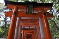 Kyoto, 15th may: Senbon Torii Gate Path details from Fushimi Inari Taisha Shrine of Kyoto City in Japan