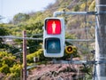 Red traffic signal illuminated against the backdrop of power lines and a blue sky Royalty Free Stock Photo