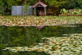 Kyoyochi Pond Ã¢â¬â the water garden of the Ryoan-ji temple. Kyoto.Japan