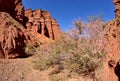 Kyrgyz Grand Canyon - famous natural landmark with red sandstone rocks of Konorchek gorge,Issyk-Kul region,Central Asia