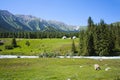 Mountain landscape with yurts of Kyrgyz shepherds in the summer pasture