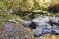 Big rocks covered with moss in the Sakai river passing below the Todoroki bridge of Isahaya in Kyushu.