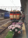 Kyushu Railway Trains in Japan