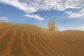 Kyzylkum desert, known also as Red Sand Desert, Uzbekistan.