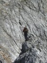KÃÂ¶nigsjodler via ferrata in Berchtesgaden Alps, Austria