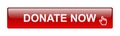 donate now button Royalty Free Stock Photo